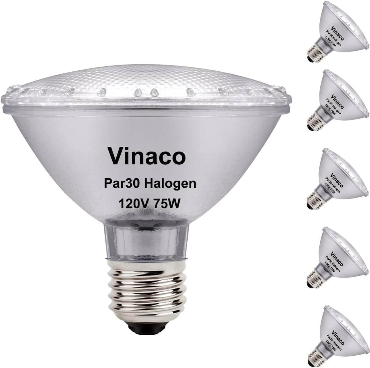 75W Halogen Flood Light Bulb (6 pack)